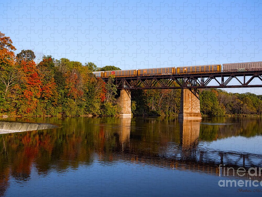 Landscape Jigsaw Puzzle featuring the photograph Grand River Autumn Freight Train by Barbara McMahon