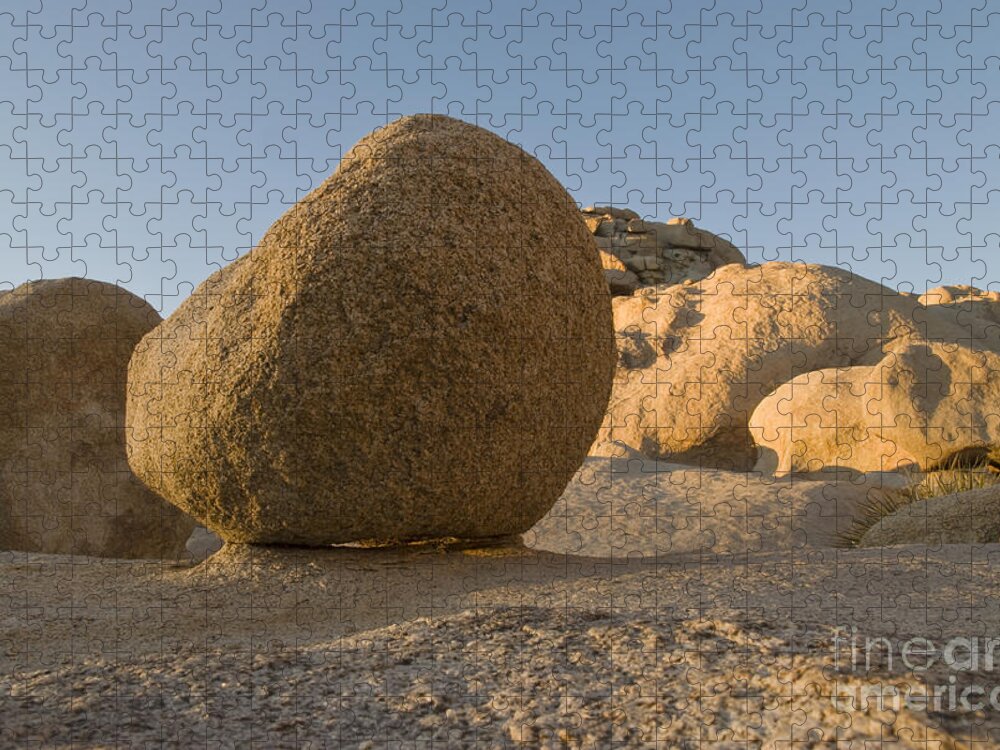 Decent cabbage to play Granite Boulder Jigsaw Puzzle by William H. Mullins | Pixels