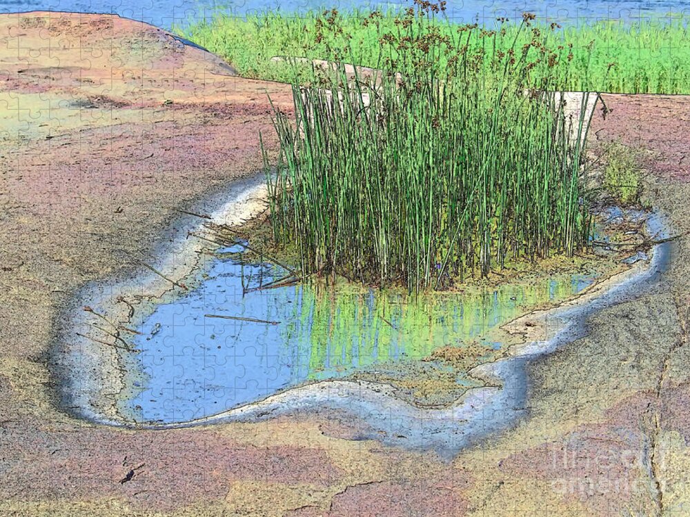 Grass Jigsaw Puzzle featuring the photograph Grass Growing on Rocks by Teresa Zieba