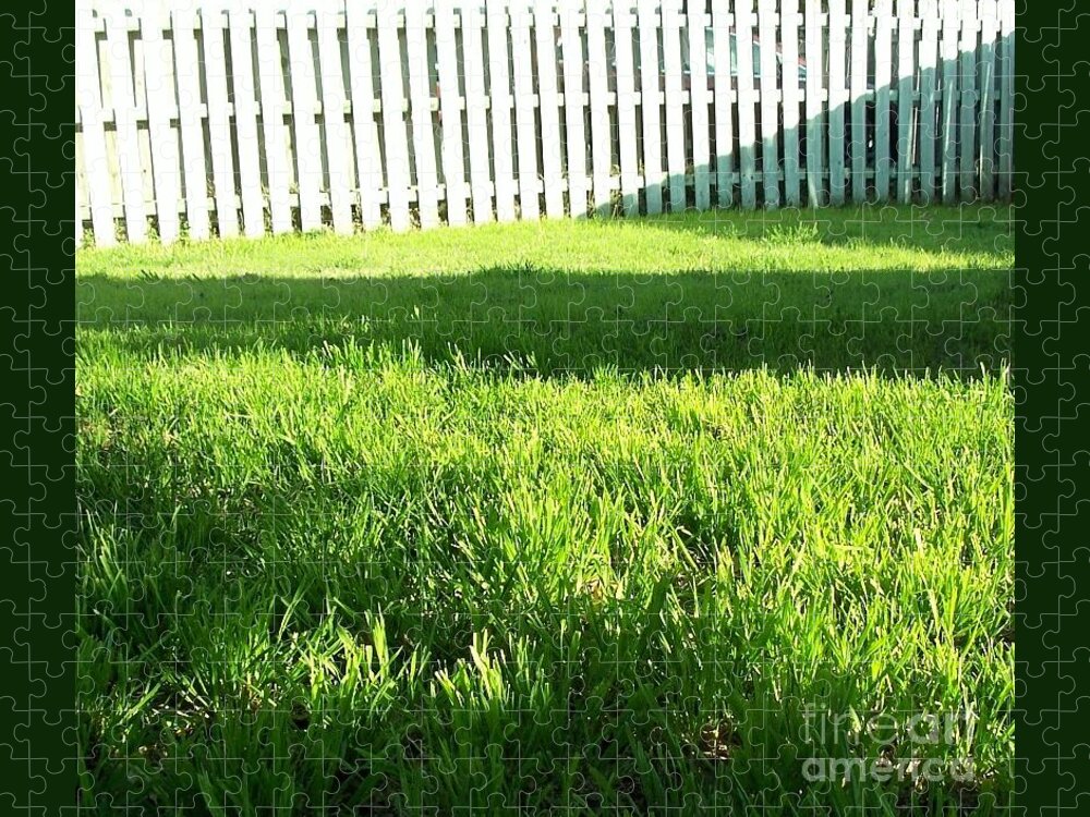 Shadows Jigsaw Puzzle featuring the photograph Grass Shadows by Susan Williams