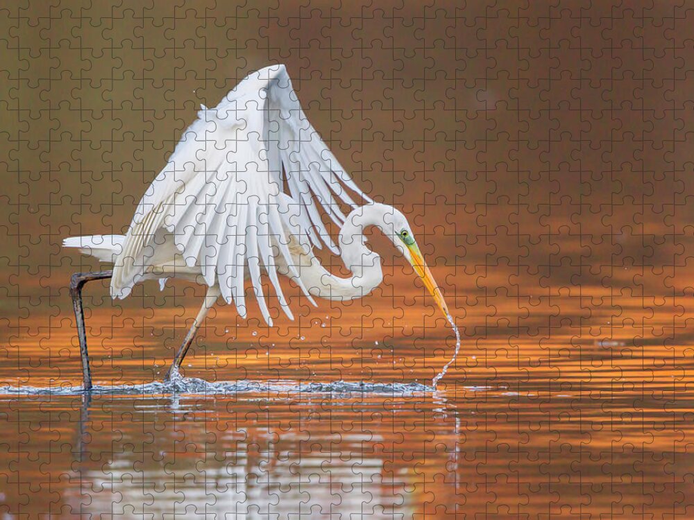Hesse Jigsaw Puzzle featuring the photograph Great Egret Or Great White Heron -ardea by Wilfried Martin