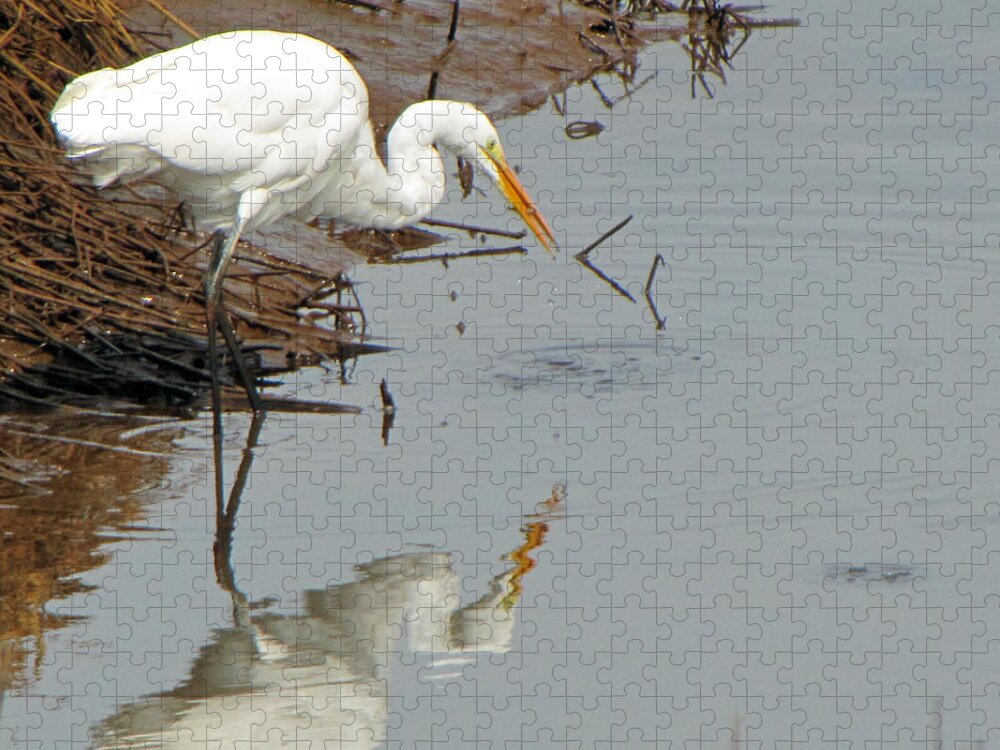 Great White Egret Jigsaw Puzzle featuring the photograph Great White Egret by Tikvah's Hope