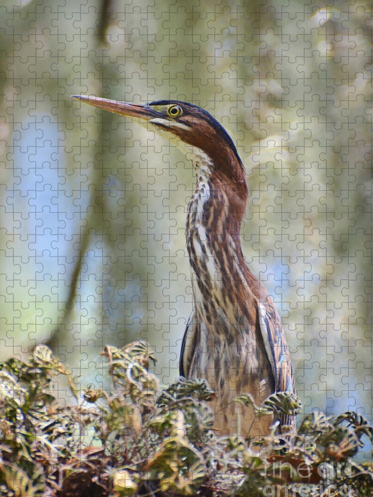 Birds Jigsaw Puzzle featuring the photograph Green Backed Heron In An Oak Tree by Kathy Baccari