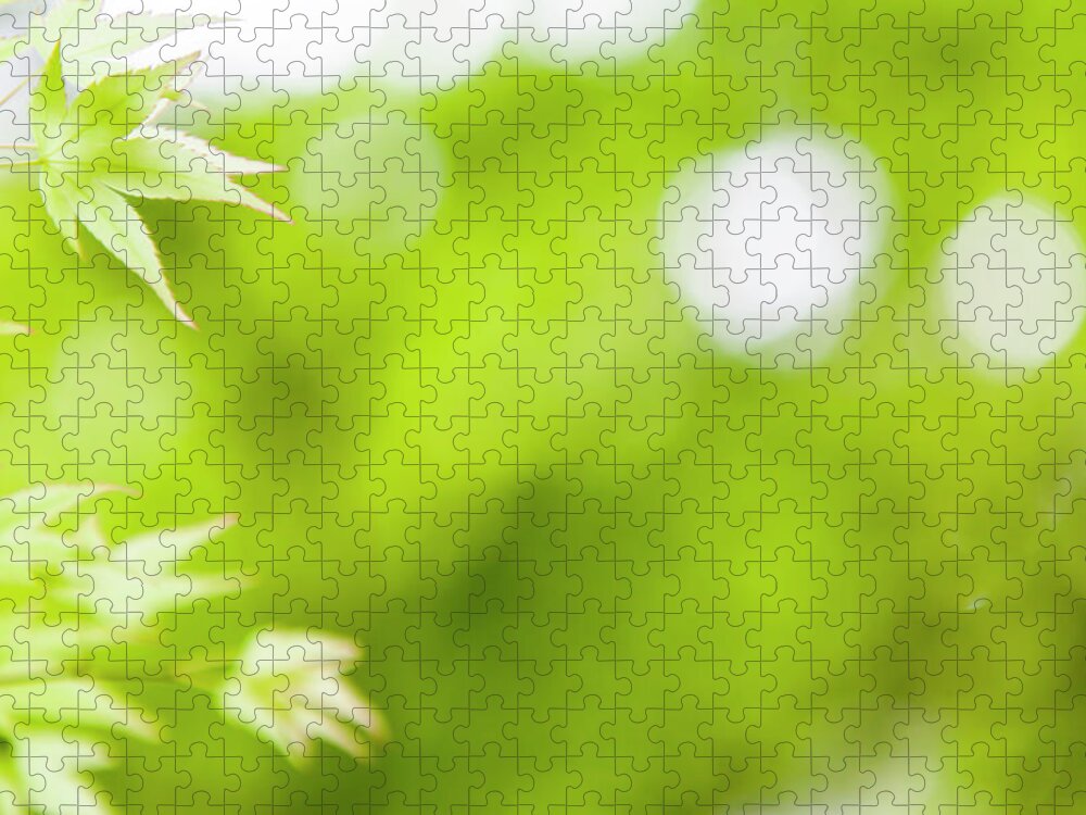 Outdoors Jigsaw Puzzle featuring the photograph Green Leaves by Shan Shui