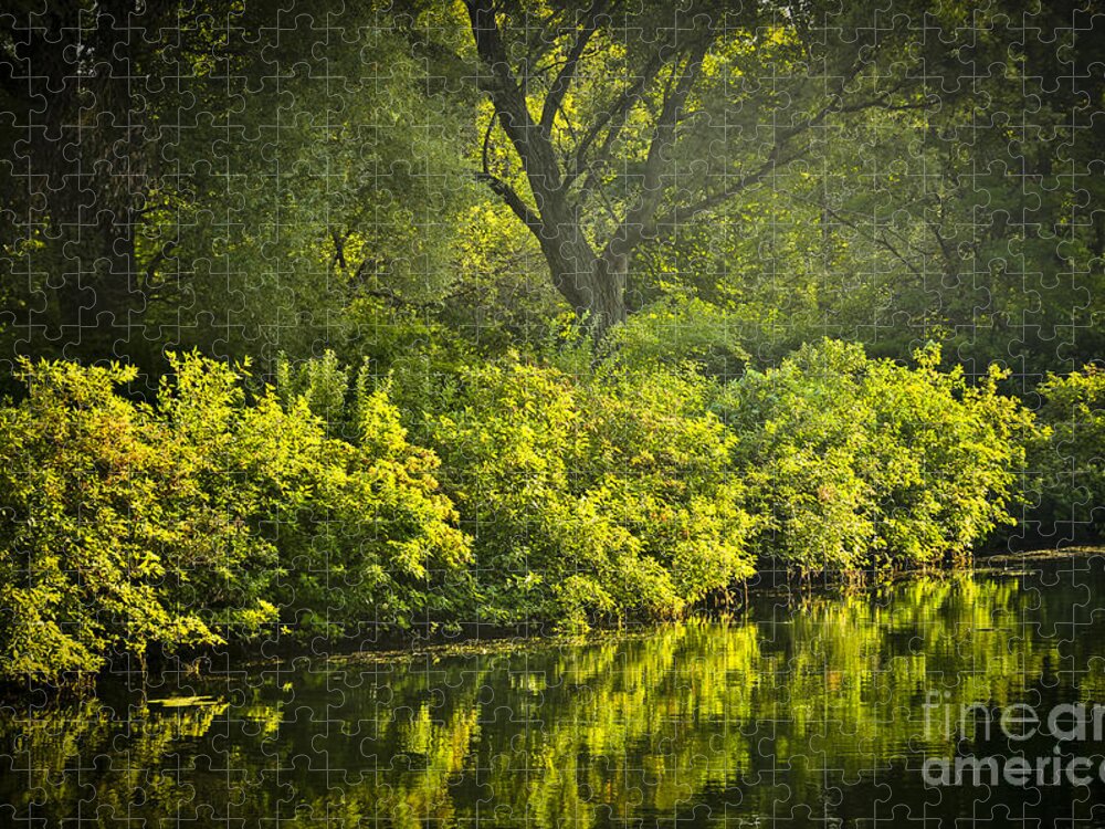 Green Jigsaw Puzzle featuring the photograph Green reflections in water by Elena Elisseeva