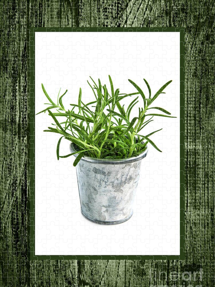 Rosemary Jigsaw Puzzle featuring the photograph Green rosemary herb in small pot by Elena Elisseeva