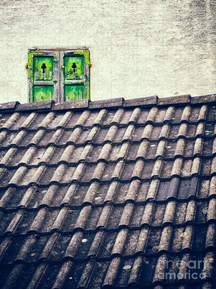 Architecture Jigsaw Puzzle featuring the photograph Green shutters by Silvia Ganora