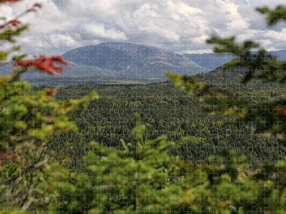 Mountain Newfoundland Park national Park gros Morne Hiking Landscape berry Hill Landscape Jigsaw Puzzle featuring the photograph Gros Morne by Eunice Gibb