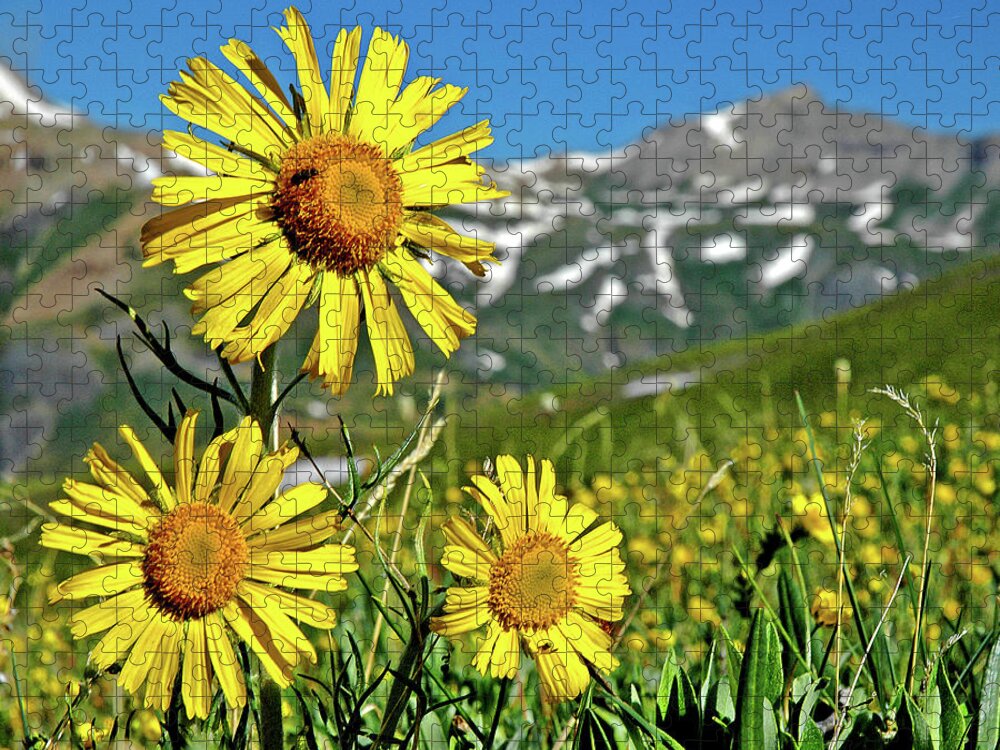 Guardian Of The Mountain Top Jigsaw Puzzle featuring the photograph Guardian of the Mountain Top by George Buxbaum