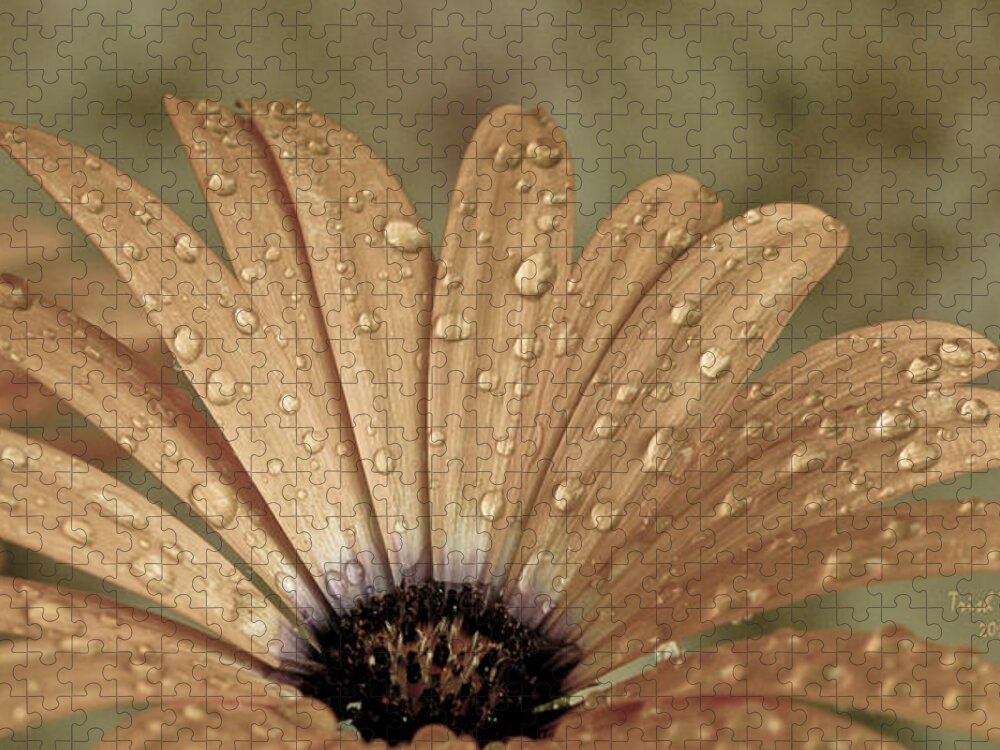 Flower Jigsaw Puzzle featuring the photograph Happy To Be A Raindrop by Trish Tritz