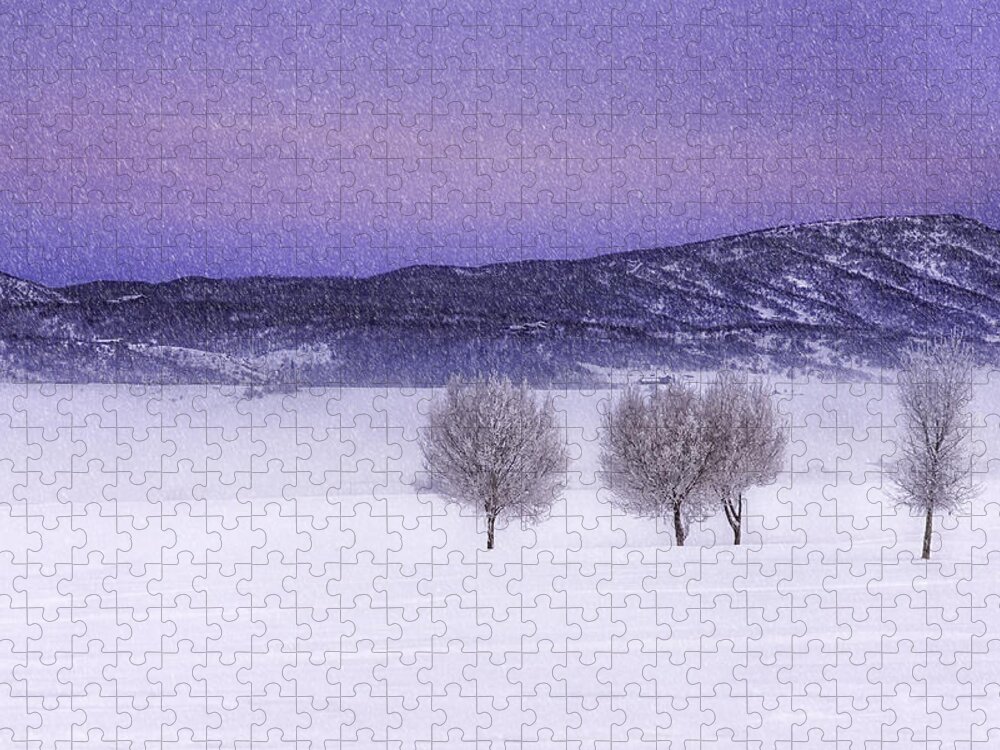 Snow Jigsaw Puzzle featuring the photograph Harmonious Vibrations by Kristal Kraft