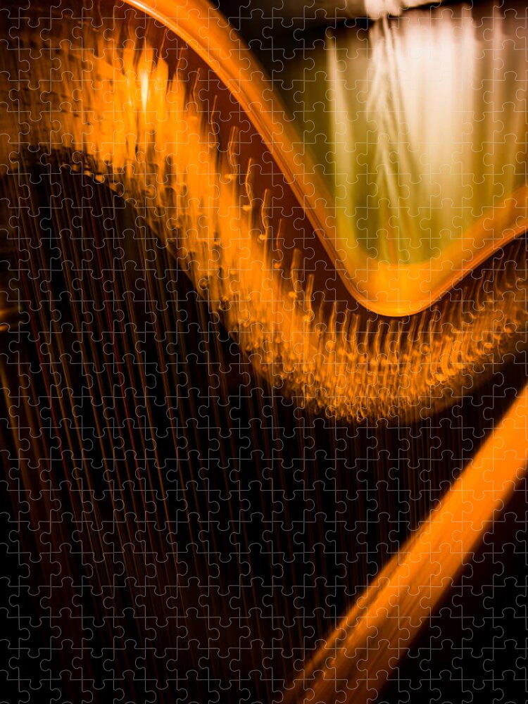 Harp Jigsaw Puzzle featuring the photograph Harp by David Smith