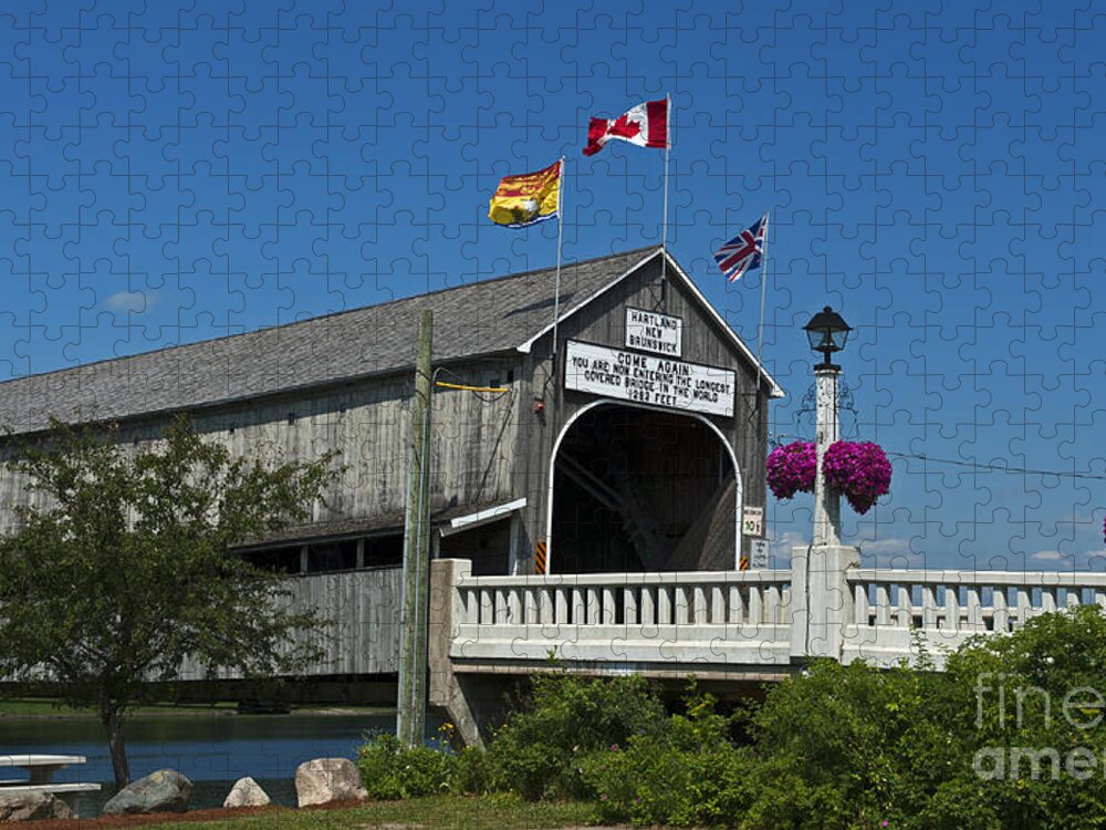 Festblues Jigsaw Puzzle featuring the photograph Hartlands Pride... by Nina Stavlund