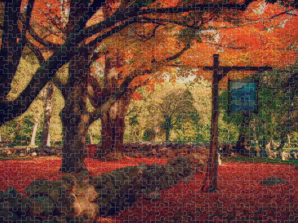 Hartwell Tavern Jigsaw Puzzle featuring the photograph Hartwell tavern under orange fall foliage by Jeff Folger