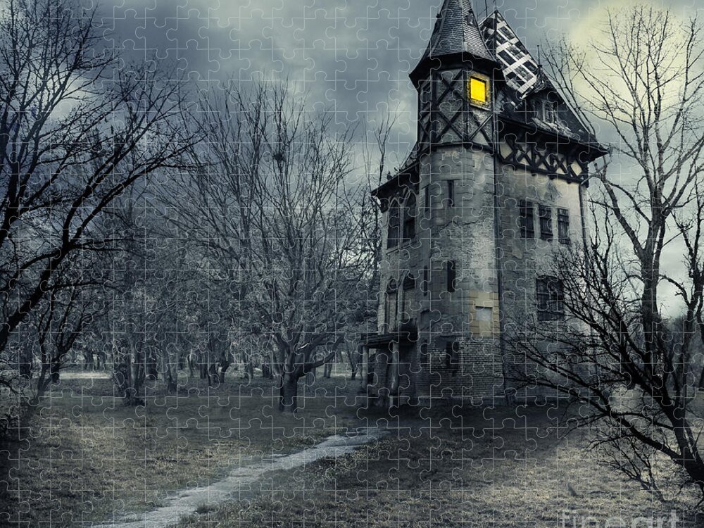 House Jigsaw Puzzle featuring the photograph Haunted house by Jelena Jovanovic