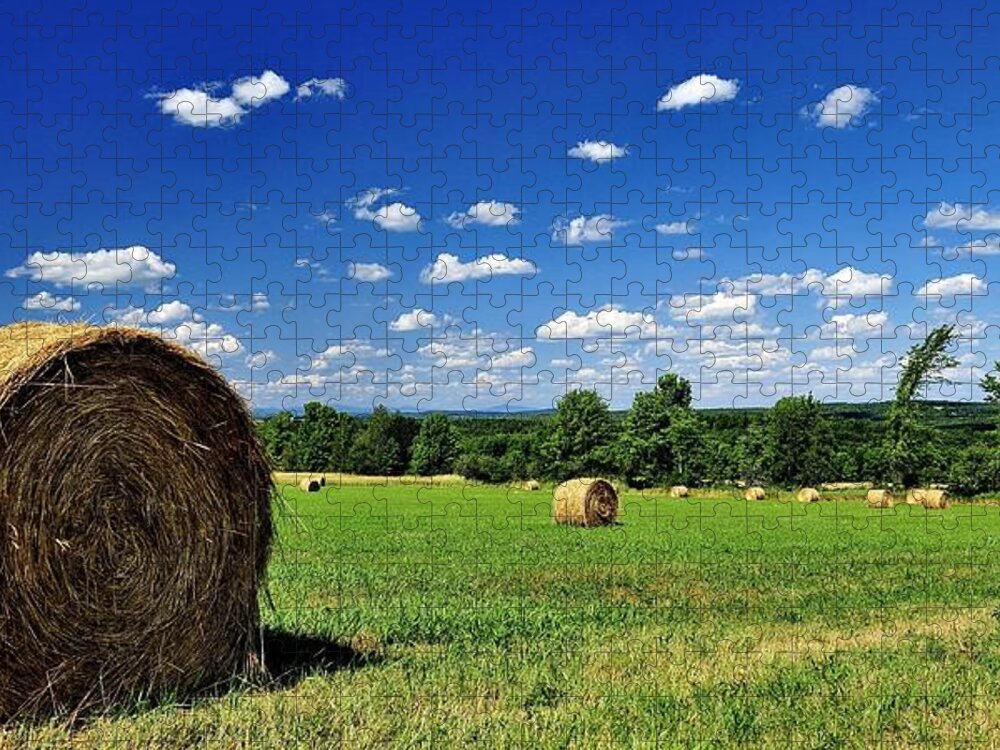 Tranquility Jigsaw Puzzle featuring the photograph Hay Bales by Frameworthyfotography By Thadd