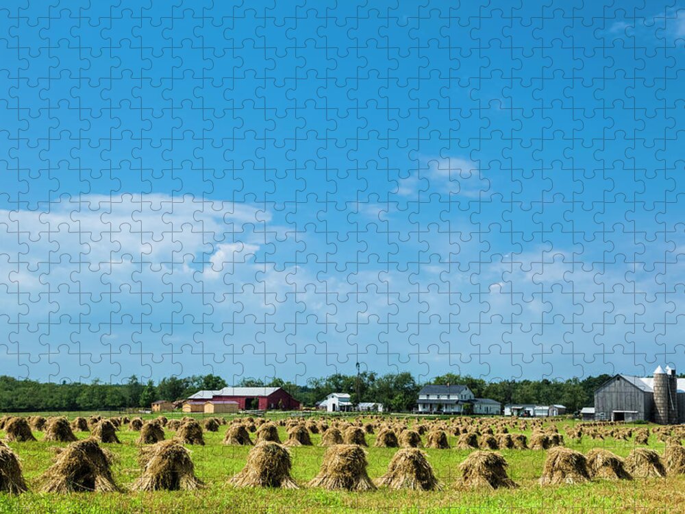 Scenics Jigsaw Puzzle featuring the photograph Haystacks Drying In A Field On A Farm by Drnadig