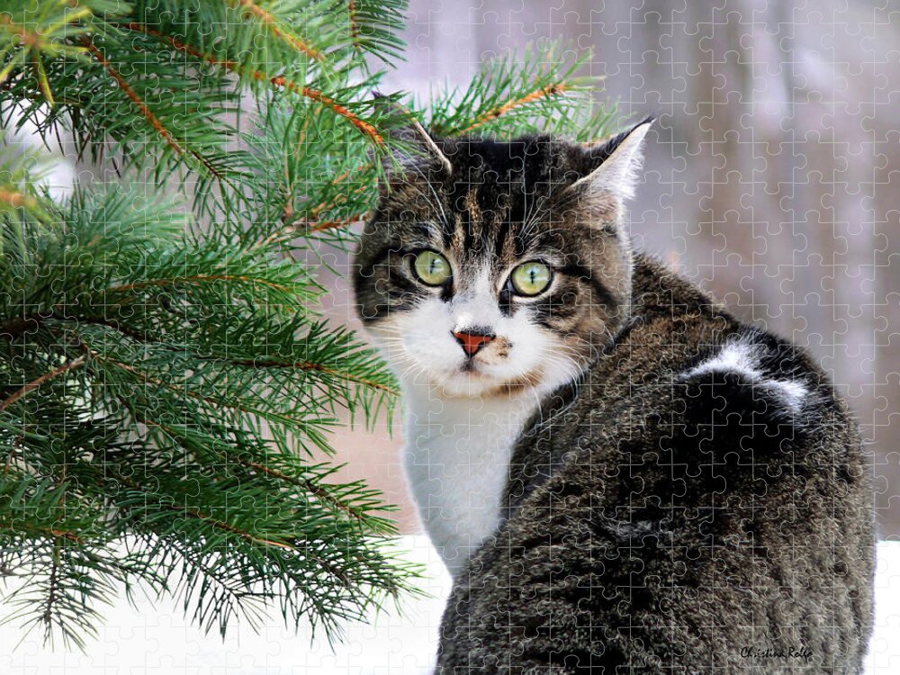 Cat Jigsaw Puzzle featuring the photograph Hazel Eyes and Pine by Christina Rollo