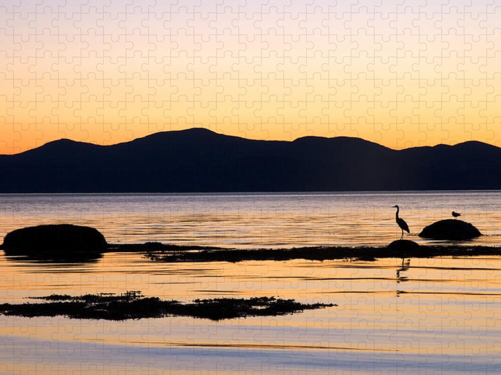 Bas-saint-laurent Jigsaw Puzzle featuring the photograph Heron and the St. Lawrence. La Pocatiere. Quebec by Rob Huntley