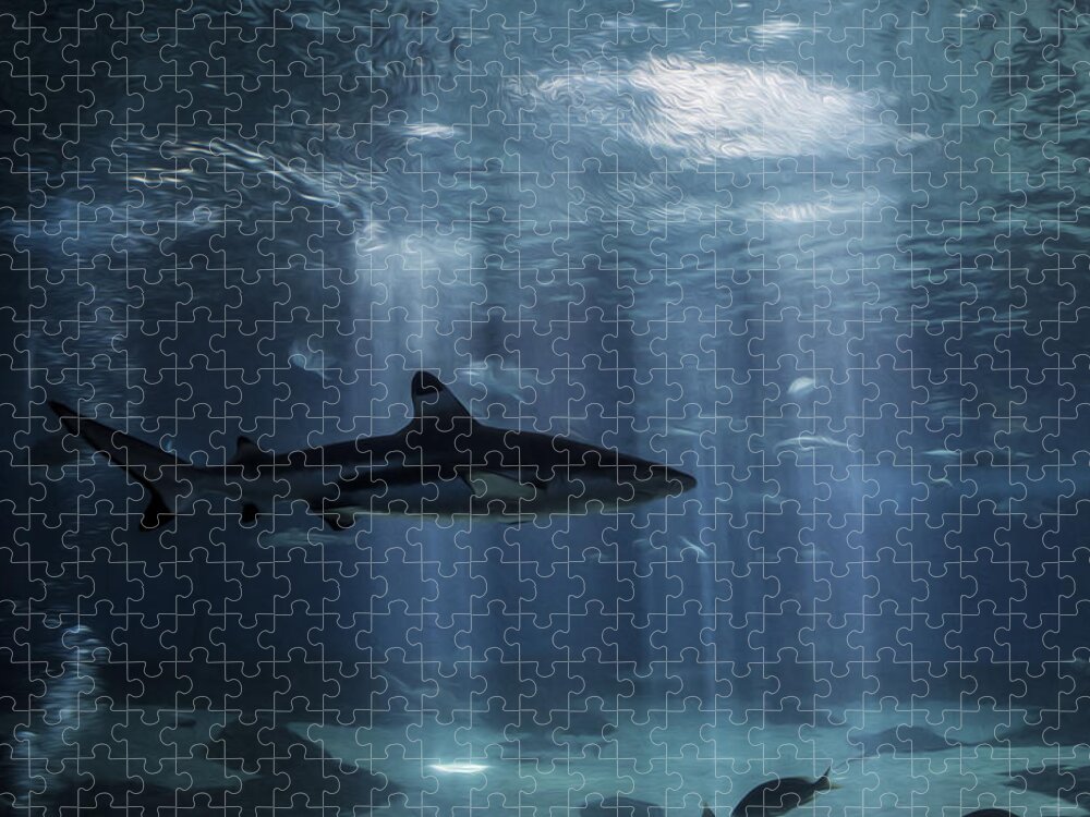 Shark Jigsaw Puzzle featuring the photograph Hidden from Light by Brad Scott