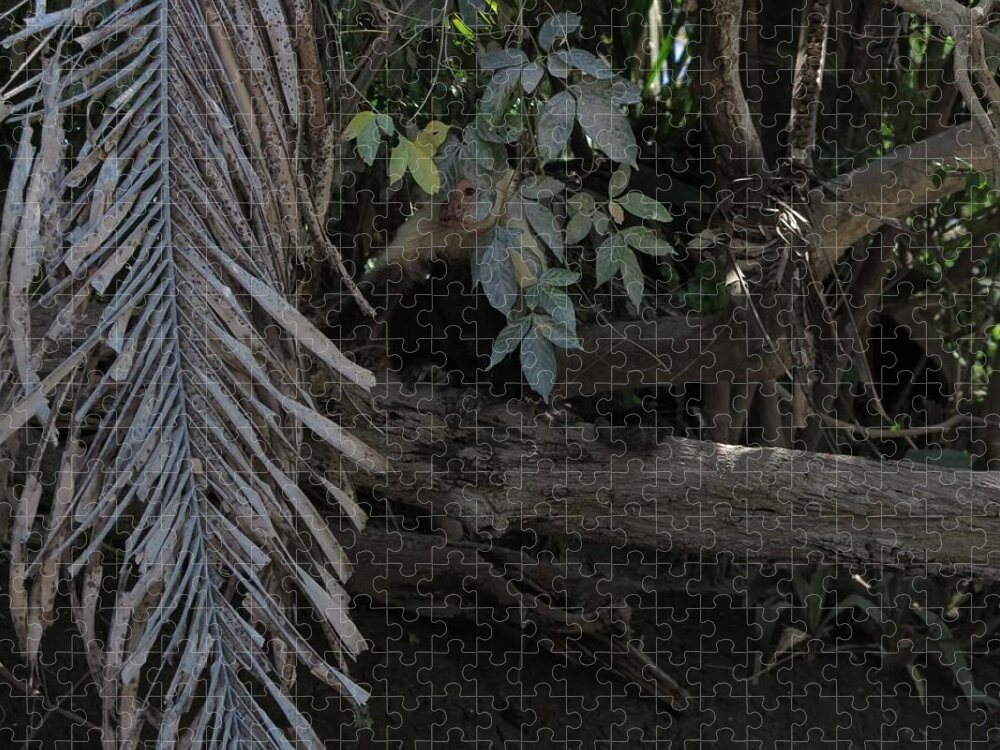 Capuchin Jigsaw Puzzle featuring the photograph Hiding by Jessica Myscofski