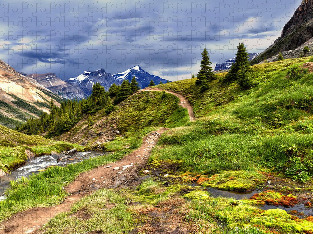 Jasper National Park Jigsaw Puzzle featuring the photograph High Mountain Trail by Kathleen Bishop