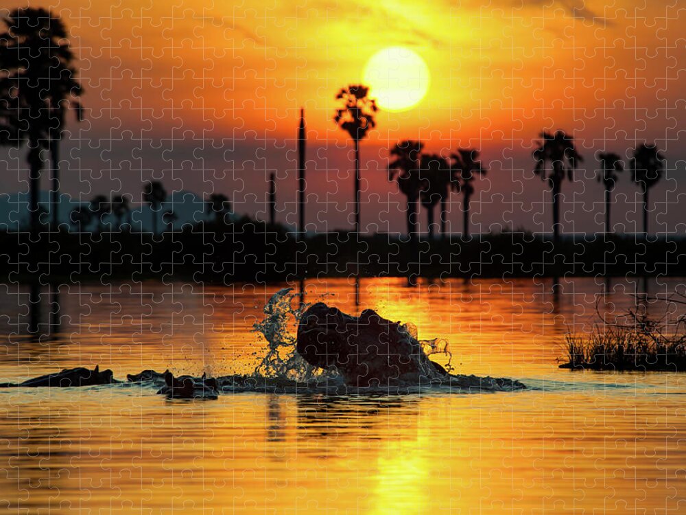 Scenics Jigsaw Puzzle featuring the photograph Hippos In Front Of A Perfect African by Guenterguni