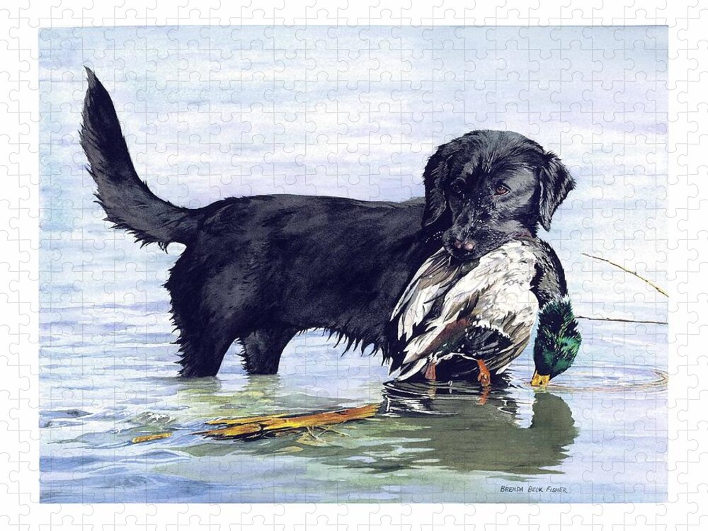 Black Retriever Dog Retrieving A Mallard. Jigsaw Puzzle featuring the painting His First Catch by Brenda Beck Fisher