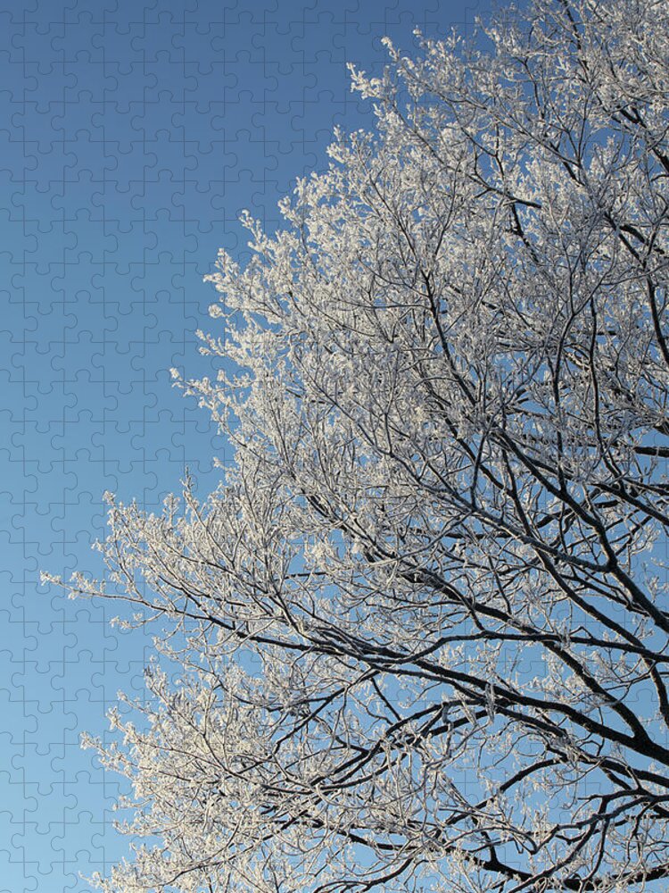 Snow Jigsaw Puzzle featuring the photograph Hoar Frost On Tree Branches by Tricia Shay Photography
