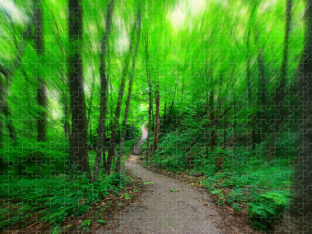 Woods Jigsaw Puzzle featuring the photograph Hopkins Path by Amanda Stadther