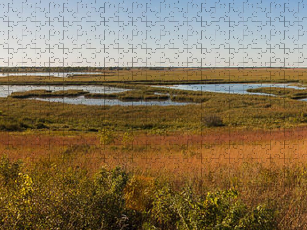 Birds Jigsaw Puzzle featuring the photograph Horicon Marsh by Steven Ralser