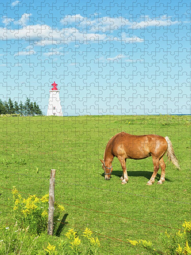Horse Jigsaw Puzzle featuring the photograph Horse And Lighthouse by Elisabeth Pollaert Smith