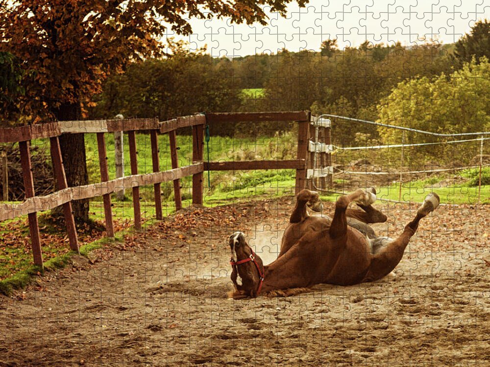 Horse Jigsaw Puzzle featuring the photograph Horse Upside Down by Patrick Matte
