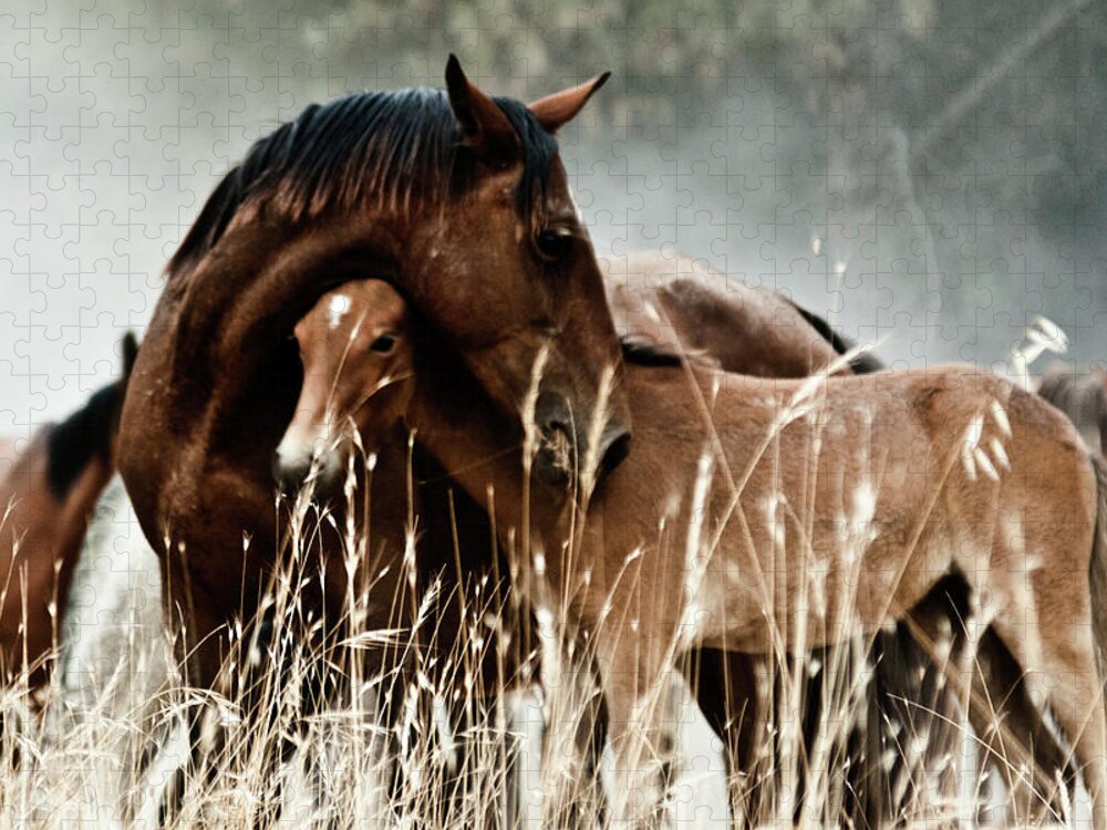 Horse Jigsaw Puzzle featuring the photograph Horse With Foal by Fran Maldonado