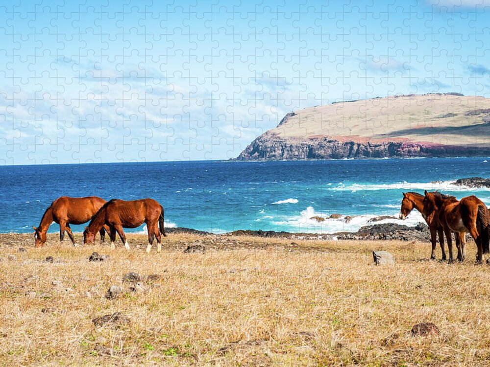 Horse Jigsaw Puzzle featuring the photograph Horses & Sea, Easter Island by © Cedric Buffler