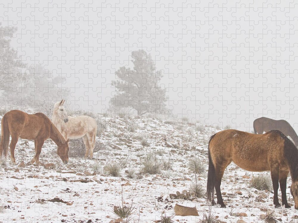 Horses Jigsaw Puzzle featuring the photograph Horses in the Winter Snow and Fog by James BO Insogna