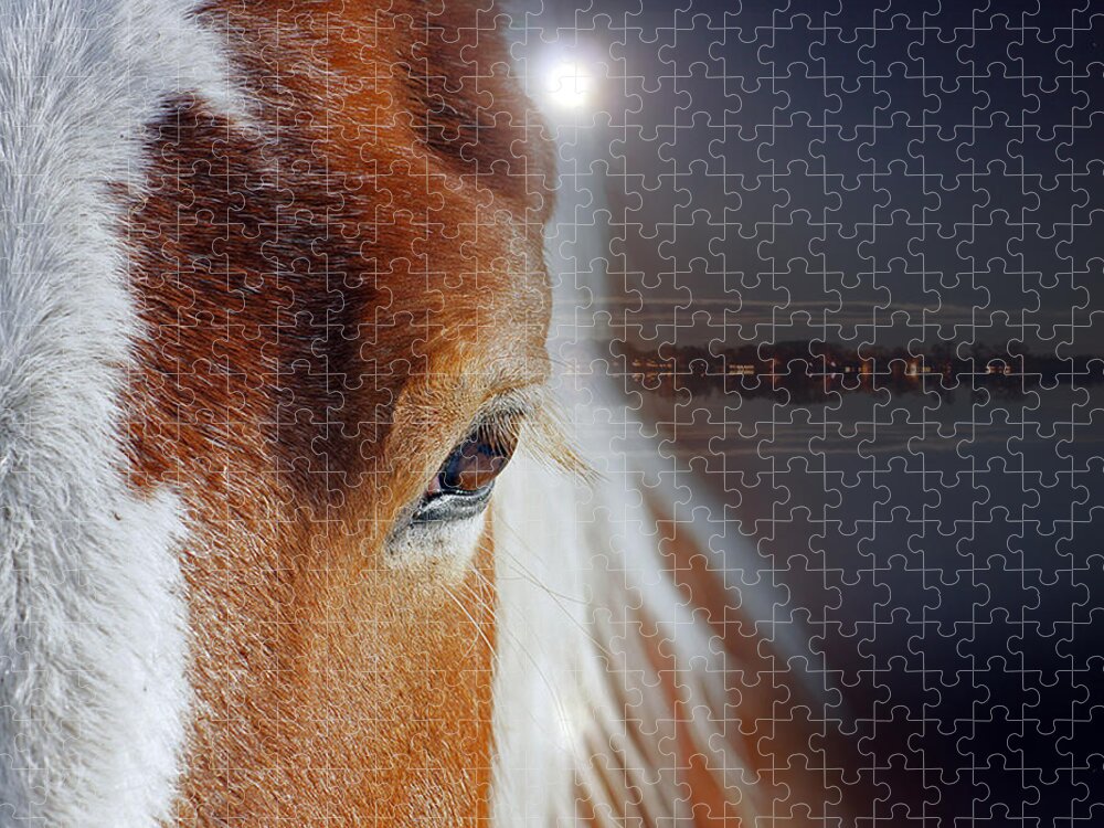 Horses Jigsaw Puzzle by Mark Ashkenazi | Pixels