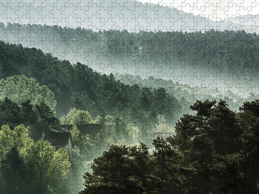 Scenics Jigsaw Puzzle featuring the photograph Houses And Sunbeams In Spruce Woodland by 1001slide