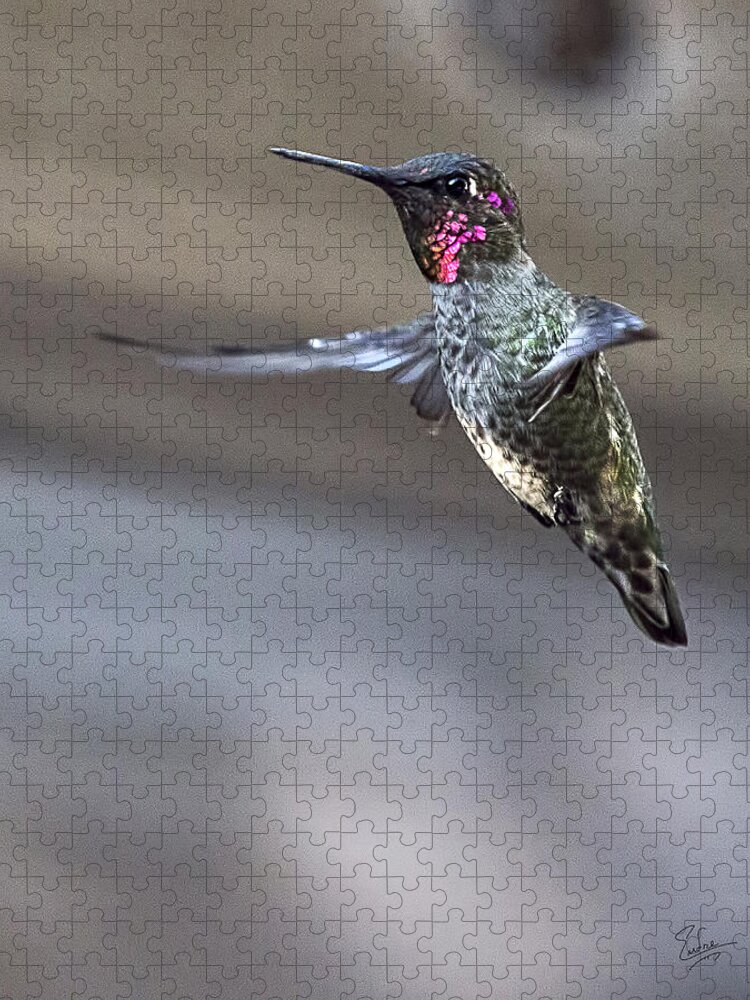 Endre Jigsaw Puzzle featuring the photograph Hummingbird 4 by Endre Balogh