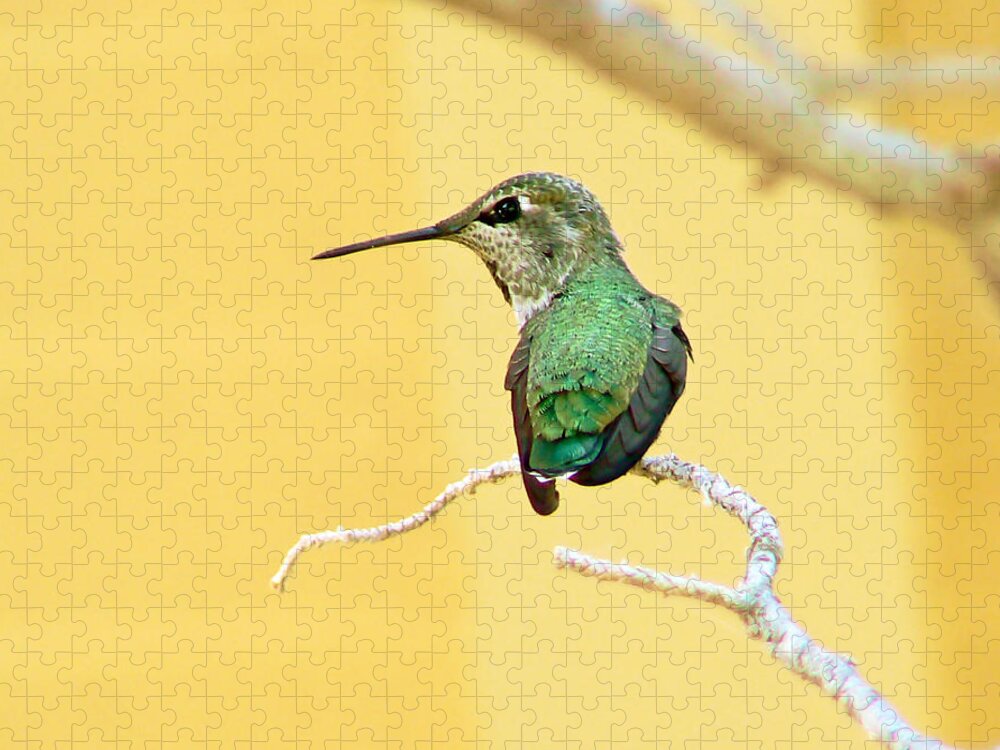 Hummingbird Jigsaw Puzzle featuring the photograph Hummingbird at Rest by Pamela Patch
