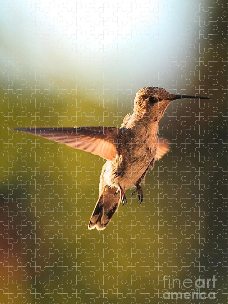 Hummingbird Jigsaw Puzzle featuring the photograph Hummingbird Bokeh by Carol Groenen