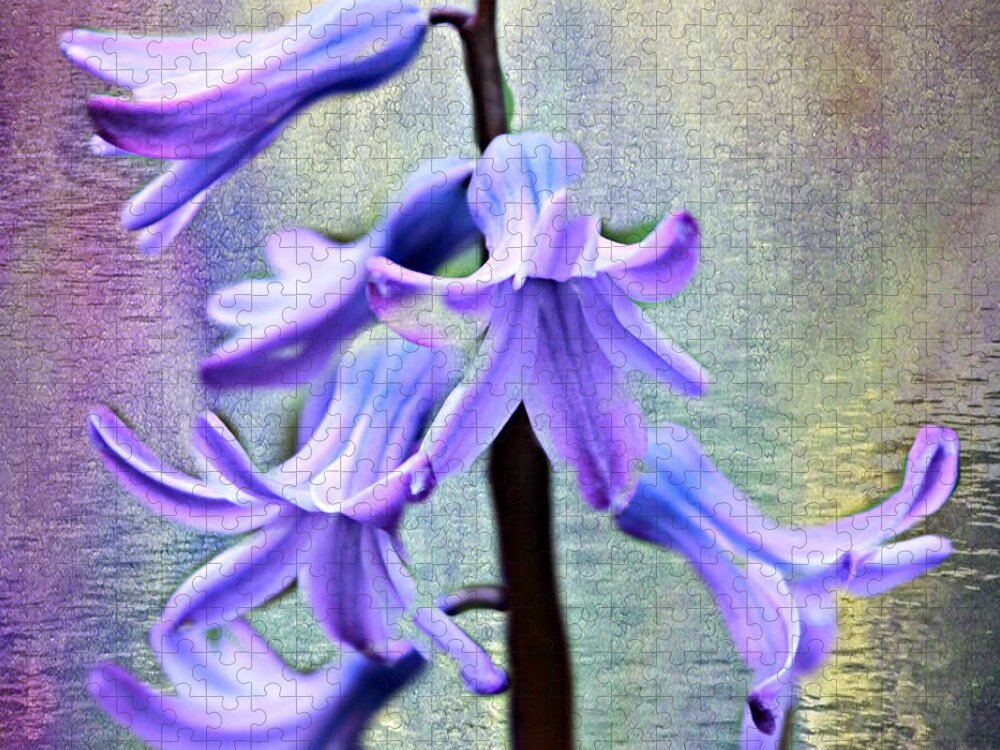 Hyacinth Jigsaw Puzzle featuring the photograph Hyacinth Flower by Judy Palkimas