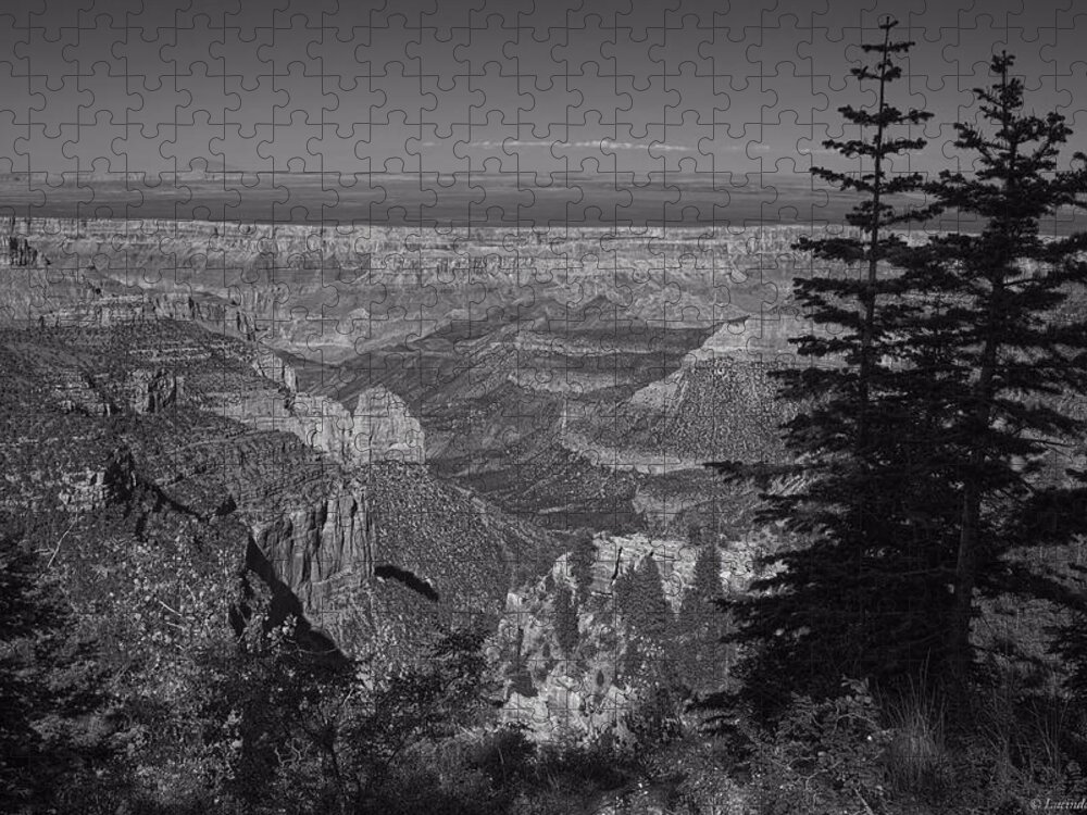 Grand Canyon Jigsaw Puzzle featuring the photograph I Can See Forever by Lucinda Walter