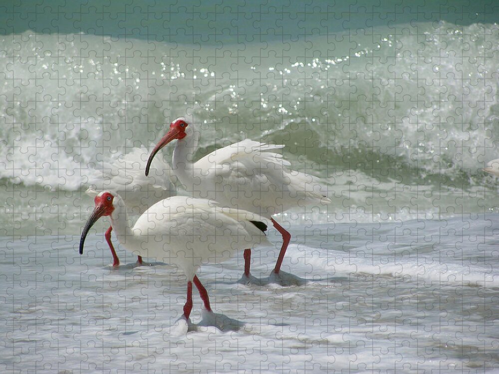 Ibis Jigsaw Puzzle featuring the pastel Ibis Pair by Melinda Saminski