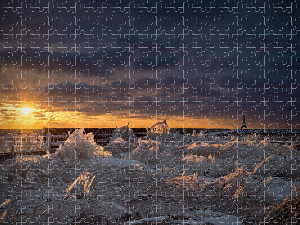 Ice Jigsaw Puzzle featuring the photograph Ice Fields by James Meyer