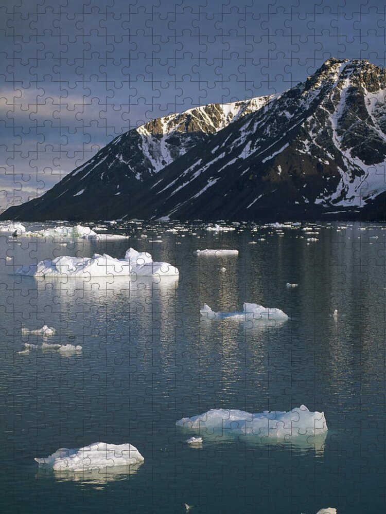 Feb0514 Jigsaw Puzzle featuring the photograph Ice Floes In Evening Light Spitsbergen by Tui De Roy