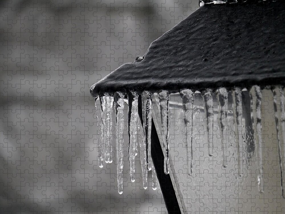 Icicle Jigsaw Puzzle featuring the photograph Icicles - Lamp Post 2 by Richard Reeve