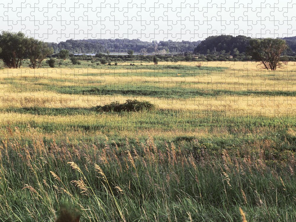 Geography Jigsaw Puzzle featuring the photograph Illinois Prairie by Johnny Lichter