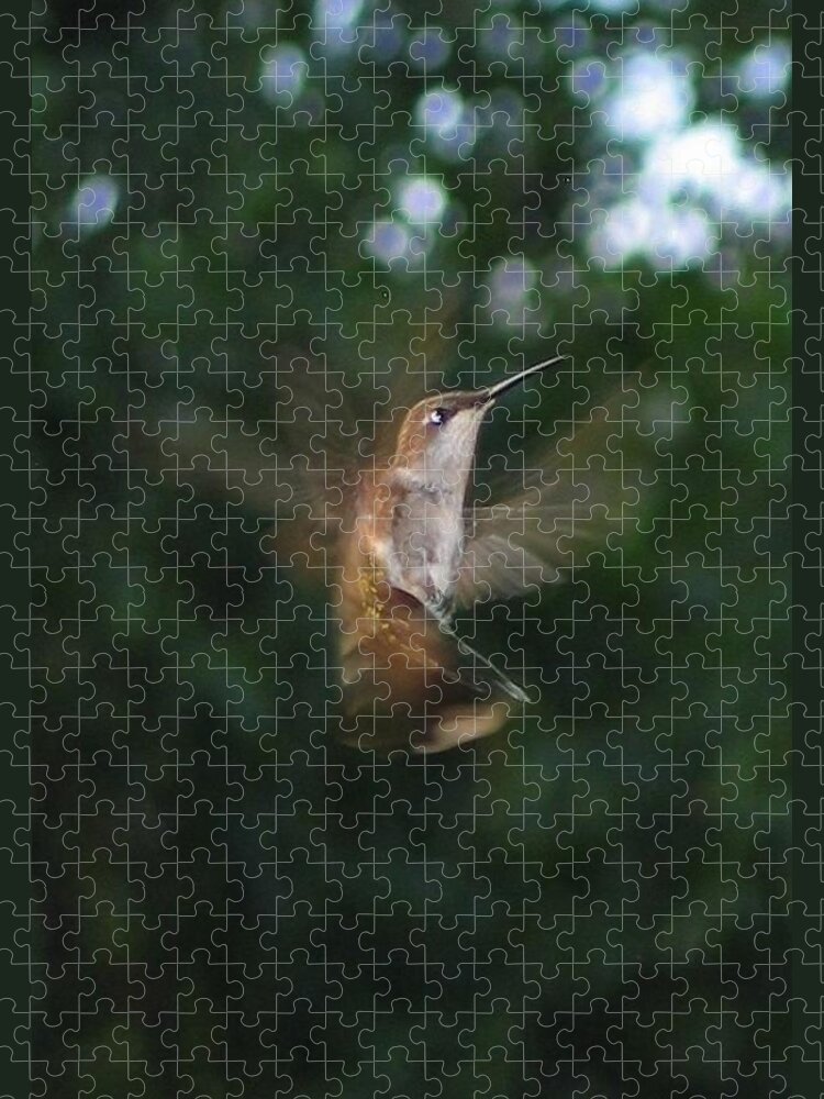 Bird Jigsaw Puzzle featuring the photograph In Flight by Photographic Arts And Design Studio