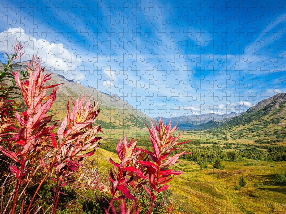 Alaska Jigsaw Puzzle featuring the photograph Indian Fireweed in Autumn by Tim Newton